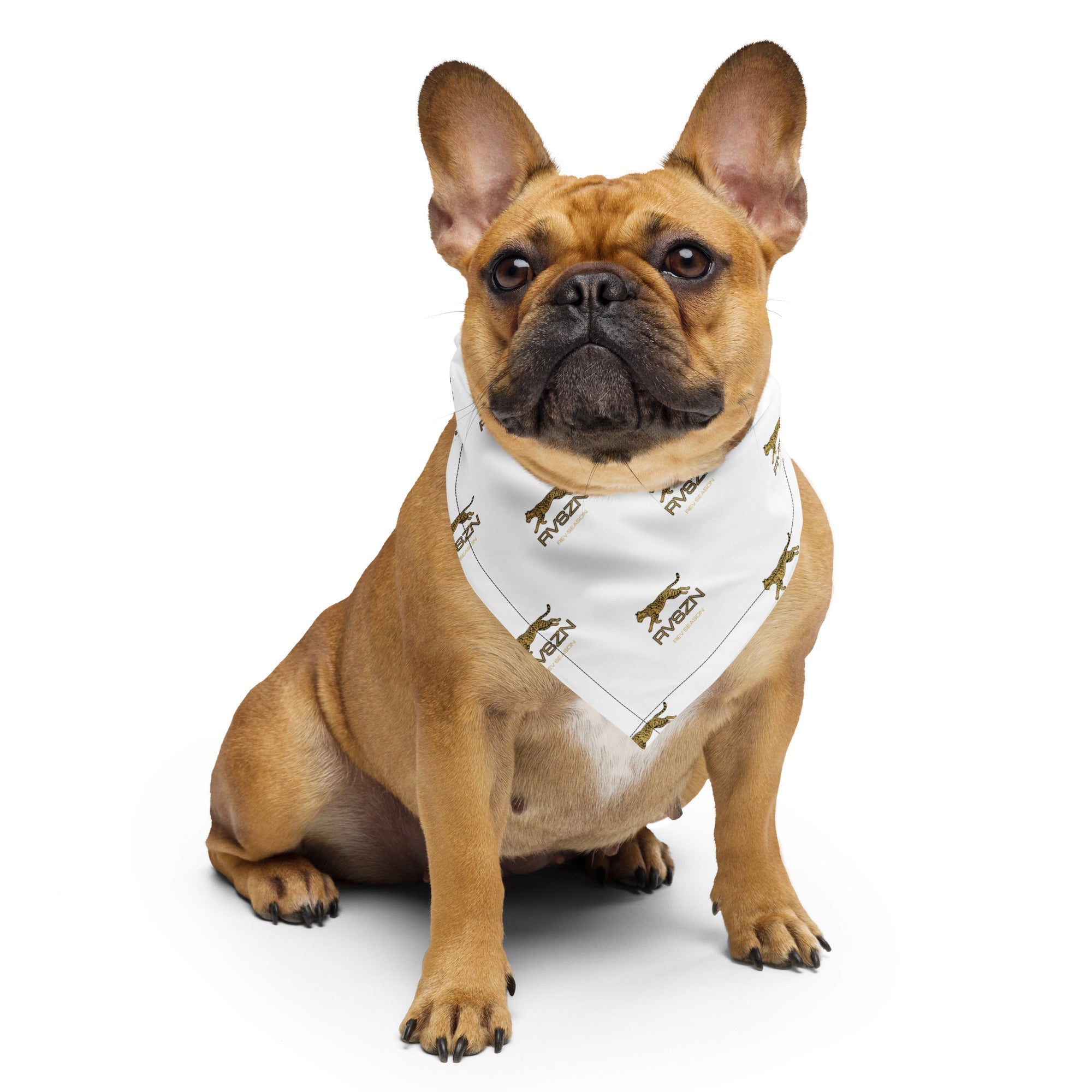 Pet Apparel